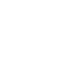 ce logo Surrey